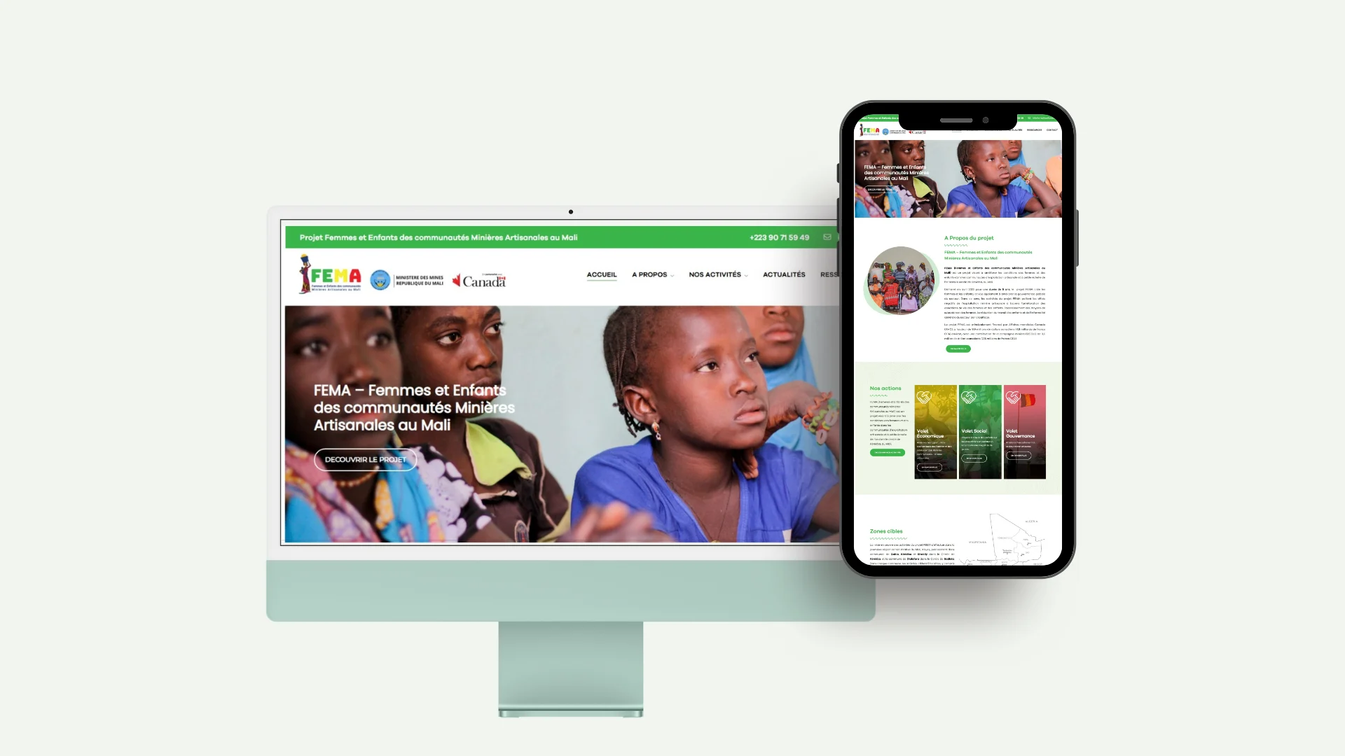 Projet-FEMA.webp