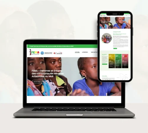 Projet-FEMA_2-1.webp Projet-FEMA_2-1.webp